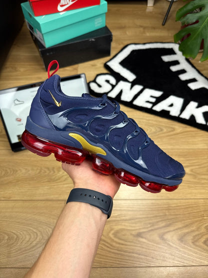 Nike Air Vapormax Plus (44)
