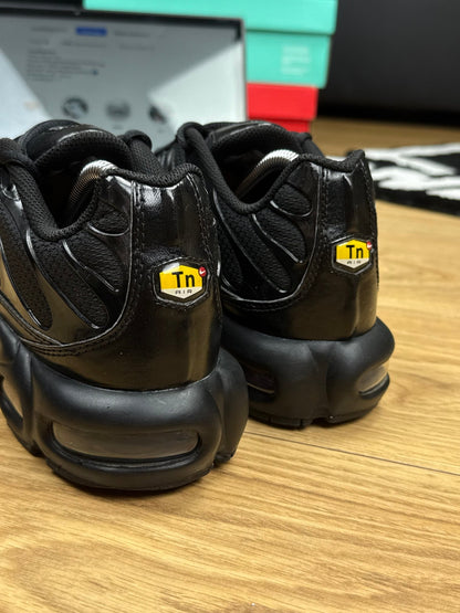 Nike Air Max Plus TN (43)
