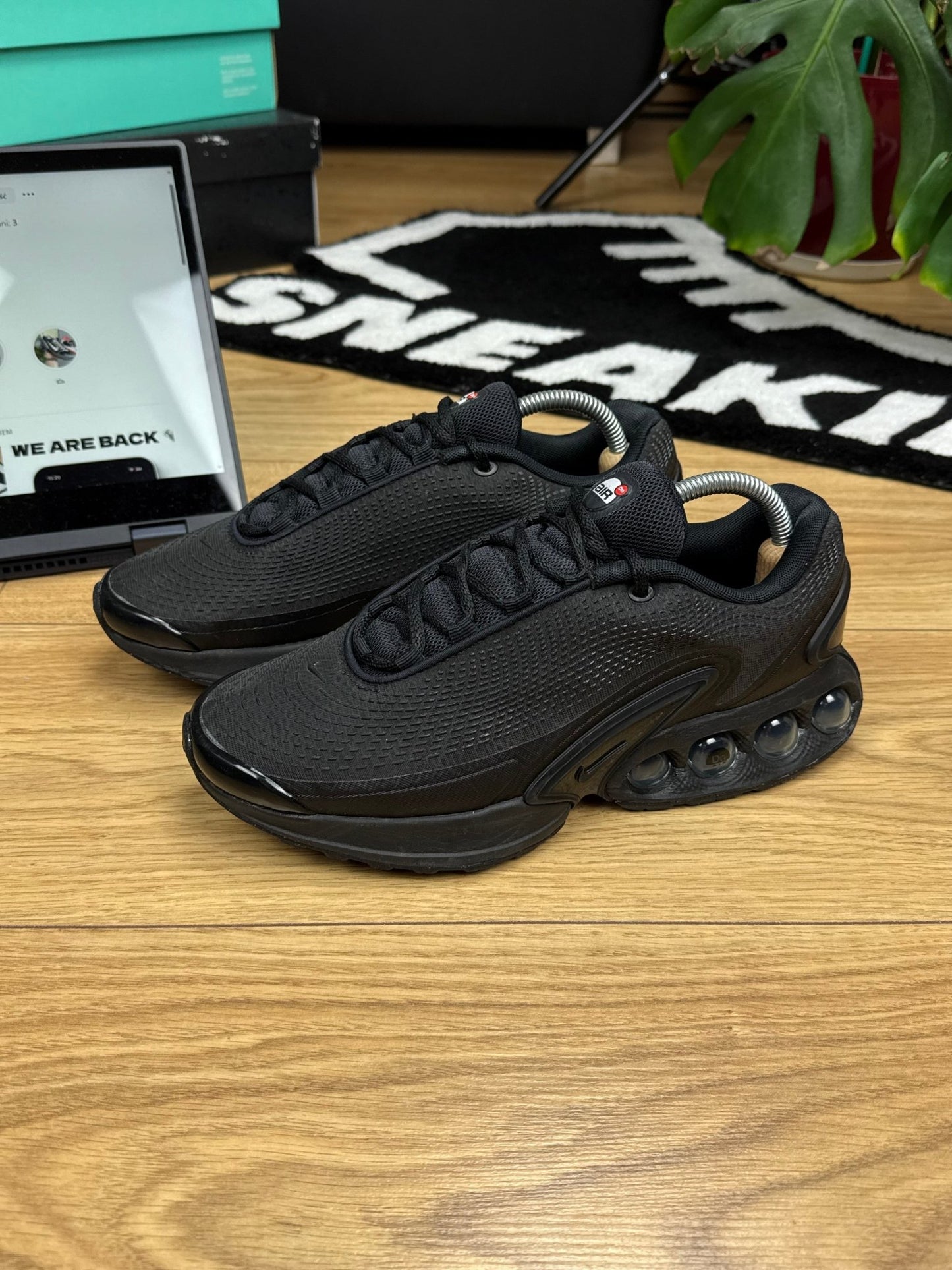 Nike Air Max DN (41)
