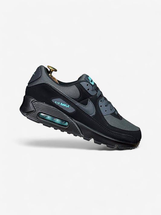 Nike Air Max 90 (42)
