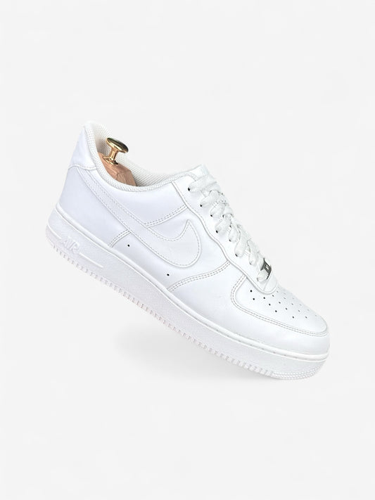 Nike Air Force 1 Low (41)