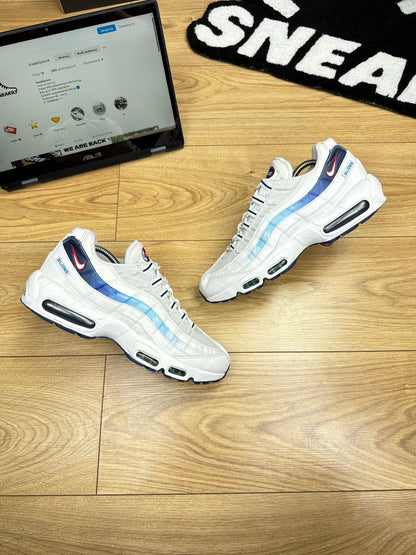 Nike Air Max 95 (44)