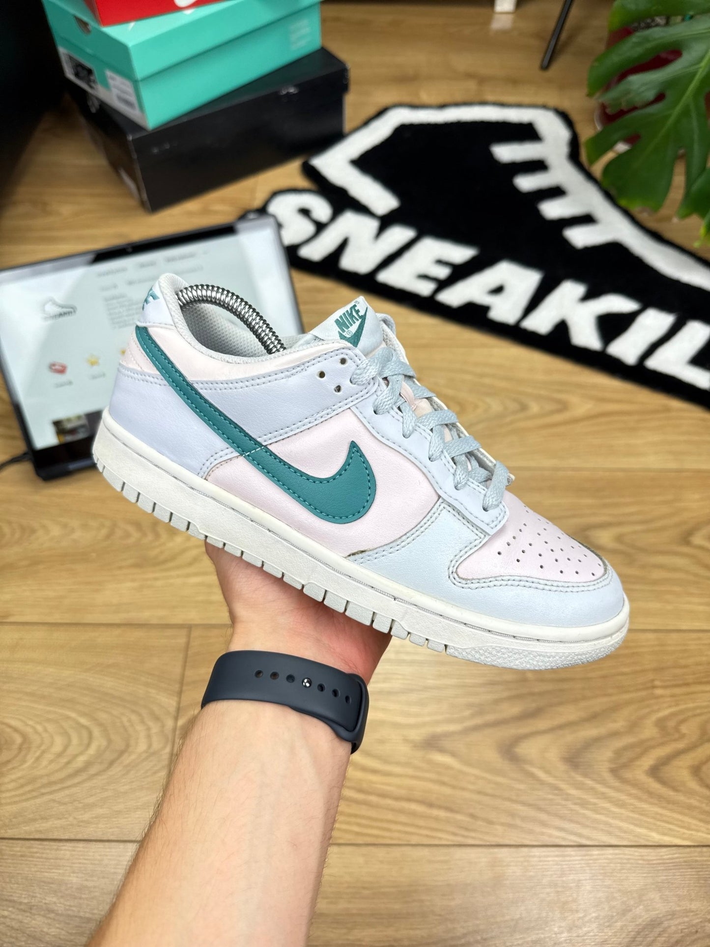 Nike Dunk Low (40)