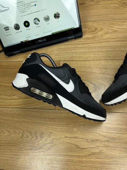 Nike Air Max 90 (41)