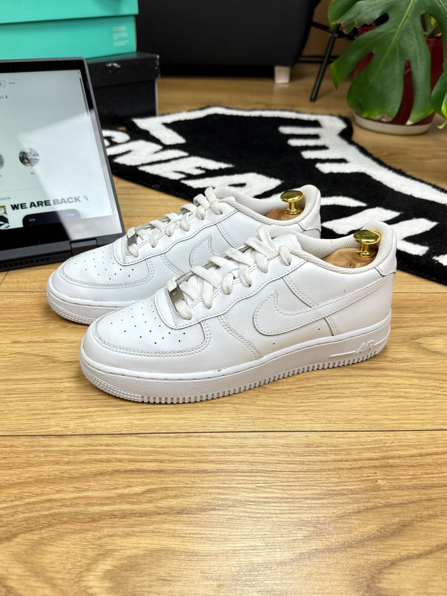 Nike Air Force 1 Low (40)