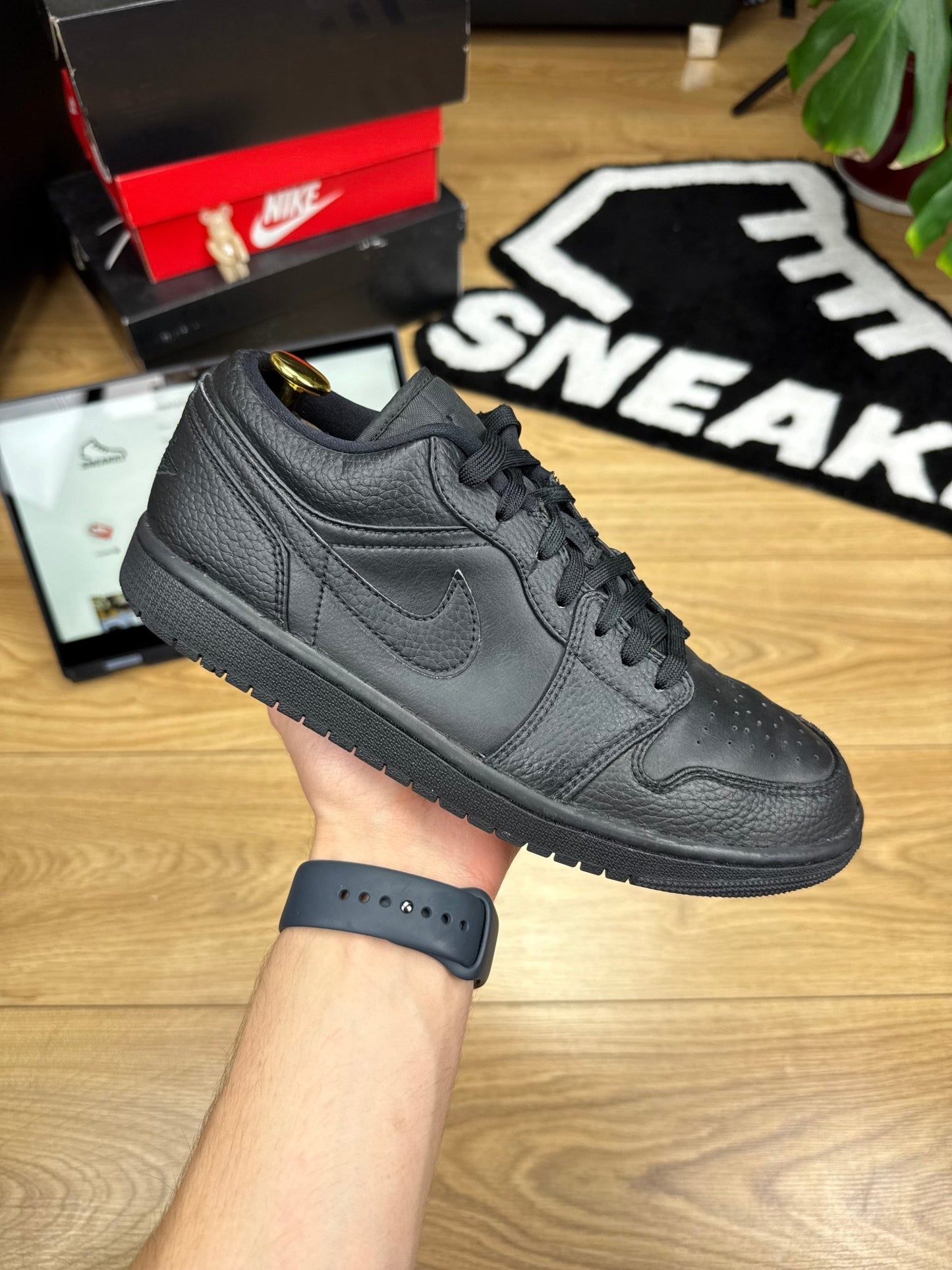 Nike Air Jordan 1 Low (42)