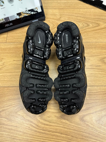 Nike Air Vapormax Plus (45)