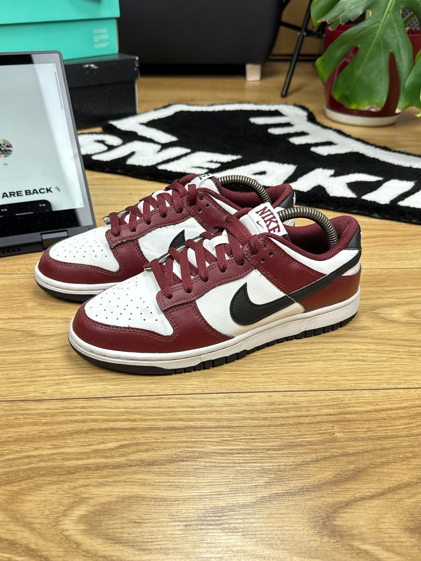 Nike Dunk Low (41)