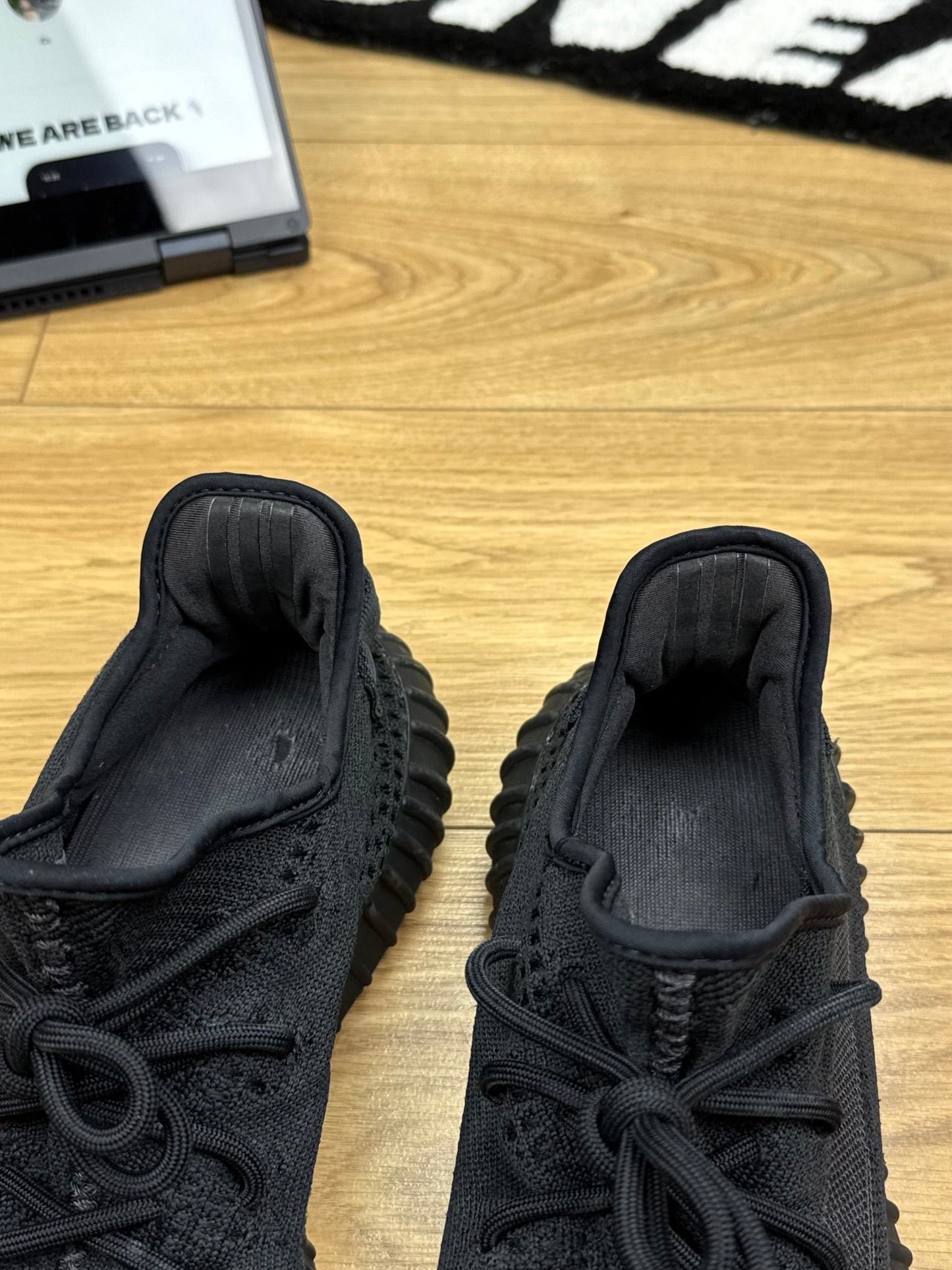 Adidas Yeezy 350 V2 Monomist (44 2/3)