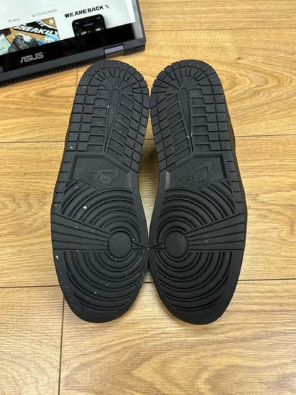 Nike Air Jordan 1 Low (42)