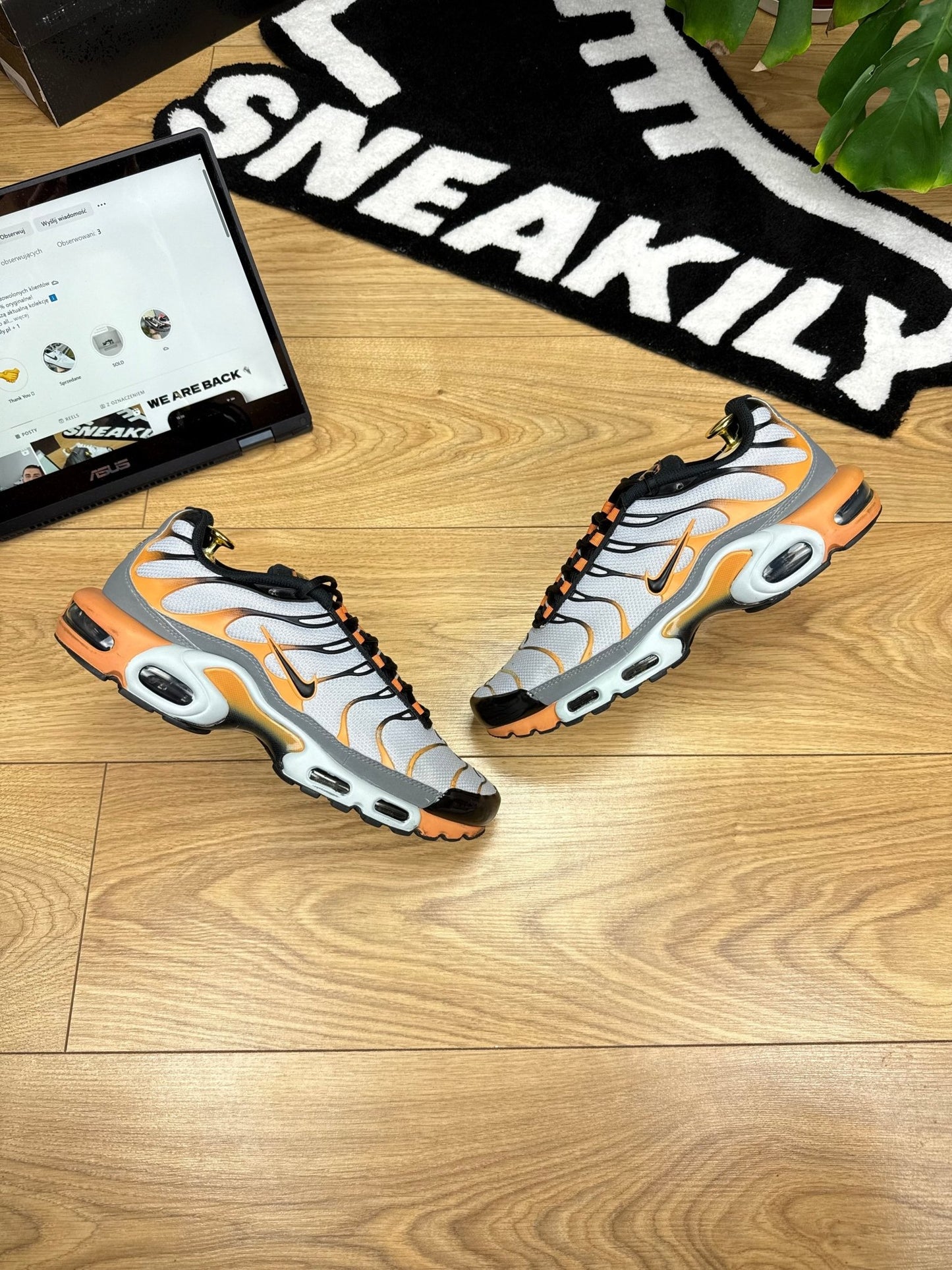 Nike Air Max Plus TN (44)