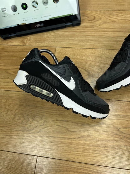 Nike Air Max 90 (41)