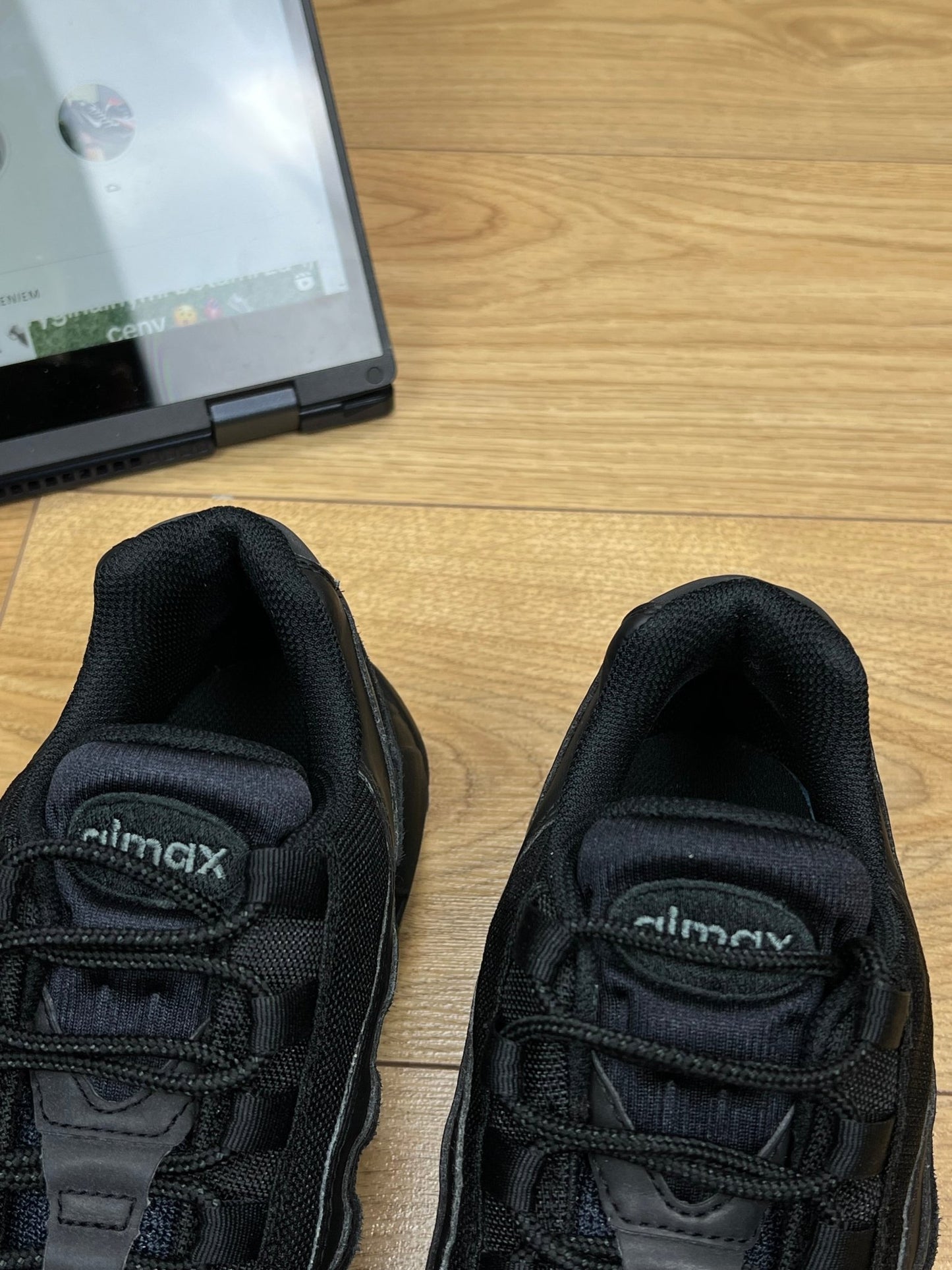 Nike Air Max 95 (42)
