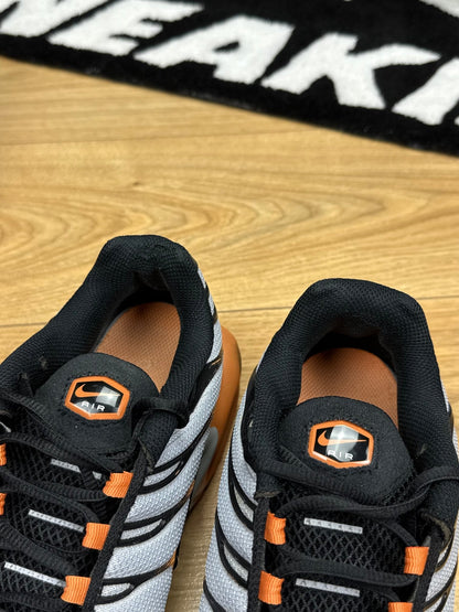 Nike Air Max Plus TN (44)