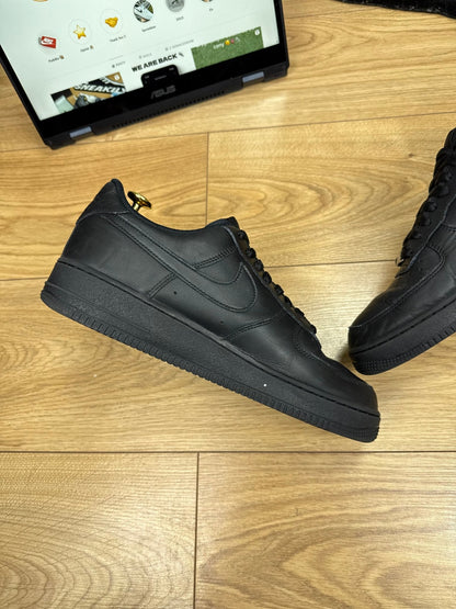 Nike Air Force 1 Low (43)