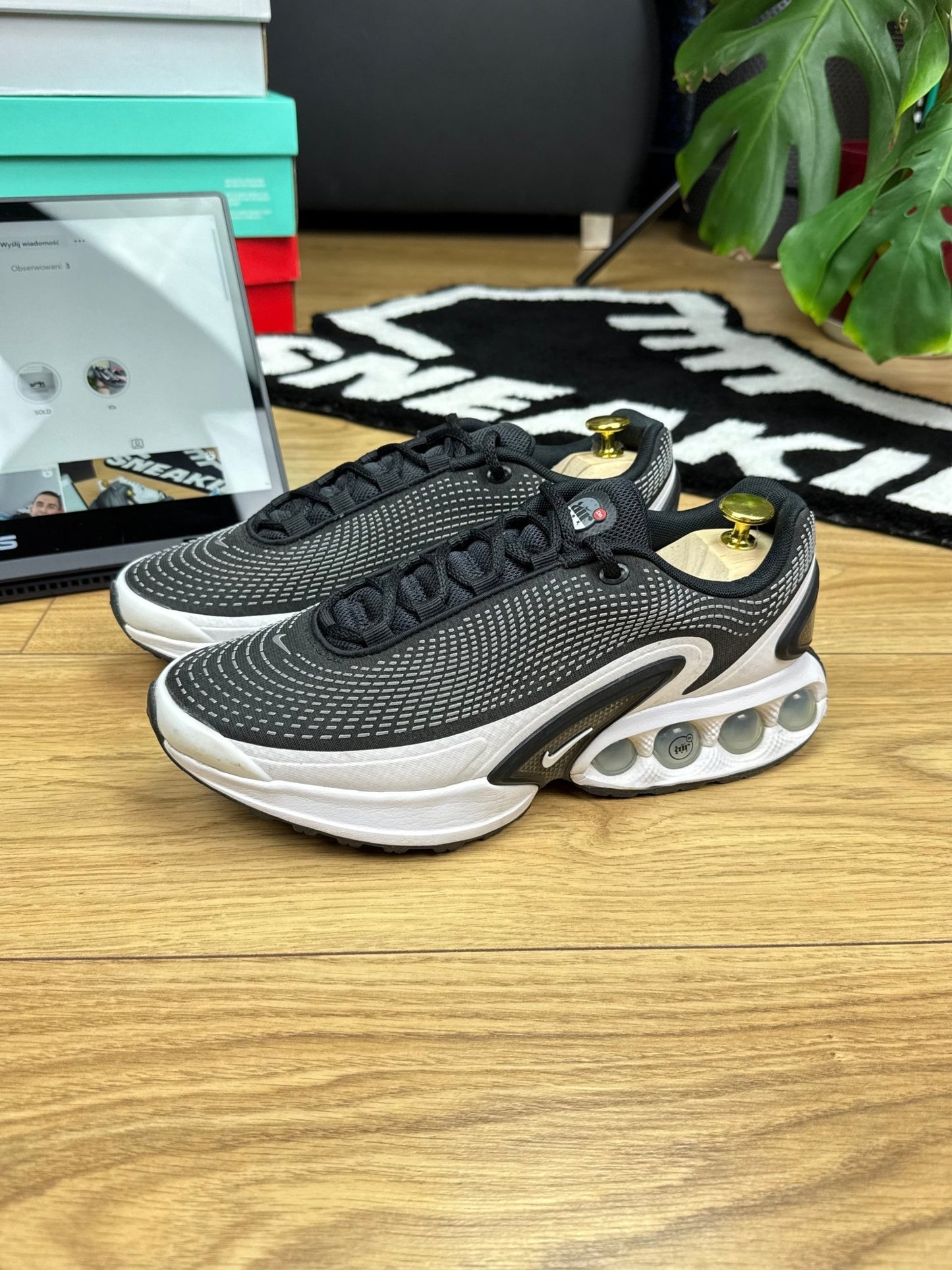 Nike Air Max DN (41)