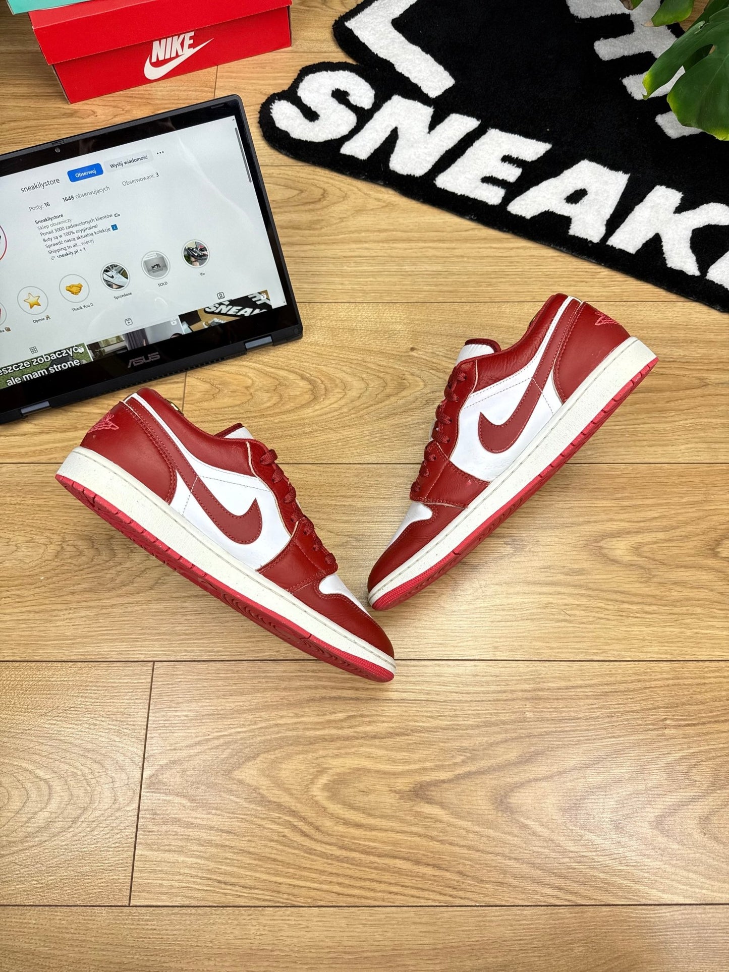 Nike Air Jordan 1 Low (46)
