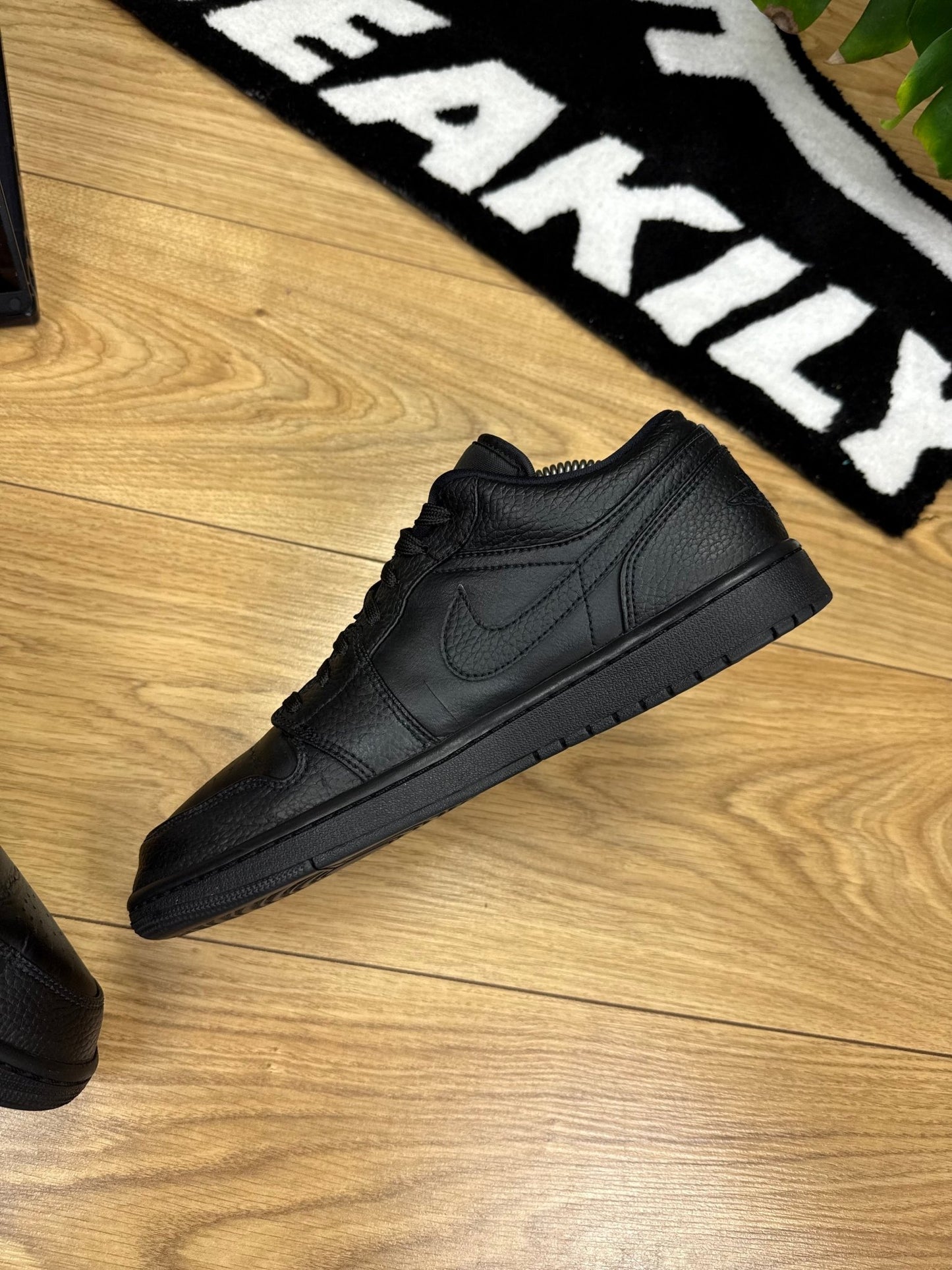 Nike Air Jordan 1 Low (43)