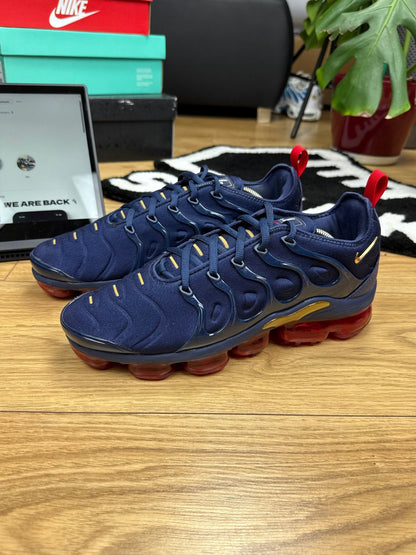 Nike Air Vapormax Plus (44)