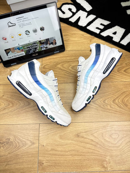 Nike Air Max 95 (46)