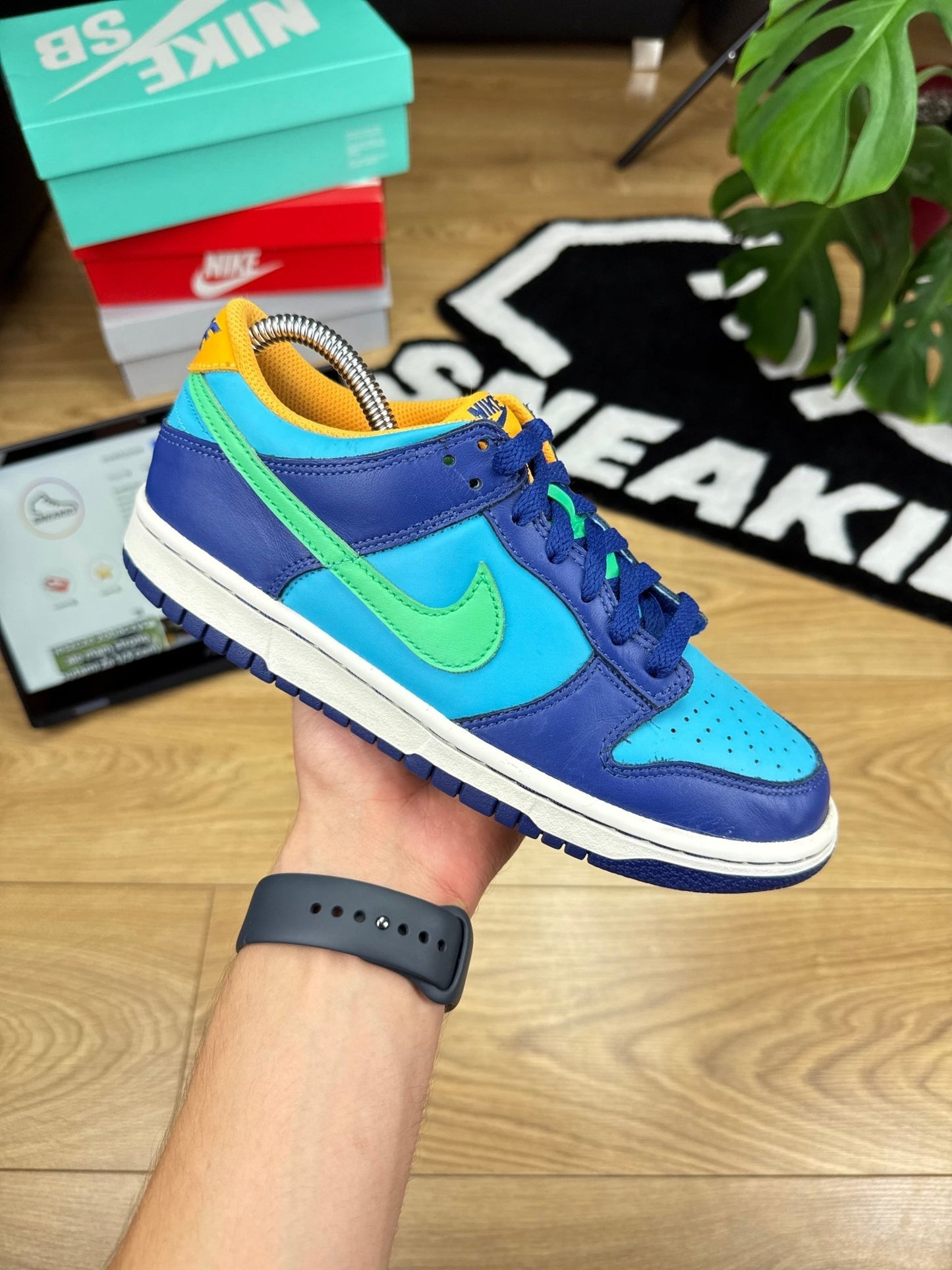 Nike Dunk Low (39)