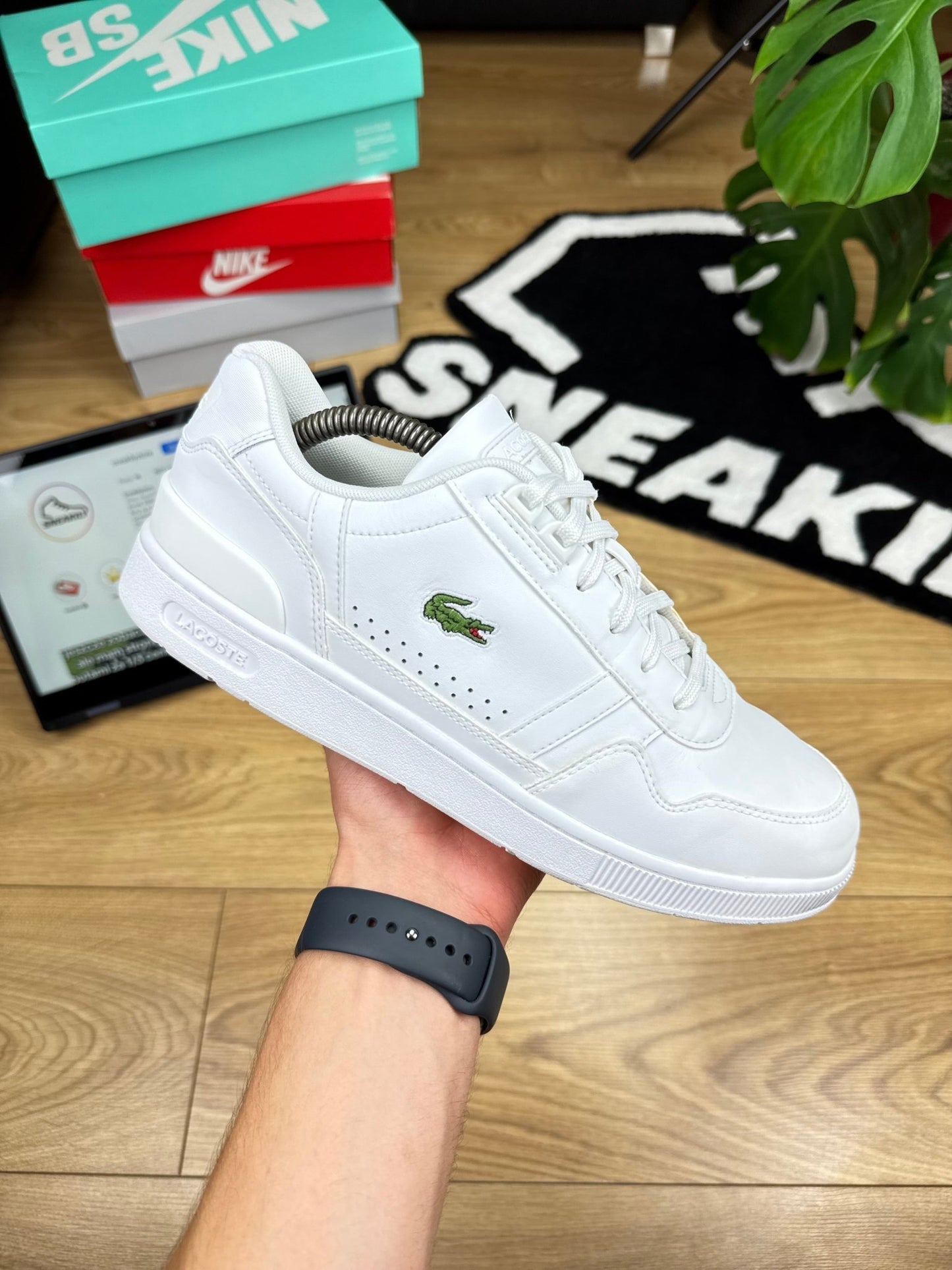 Lacoste T-Clip (43)