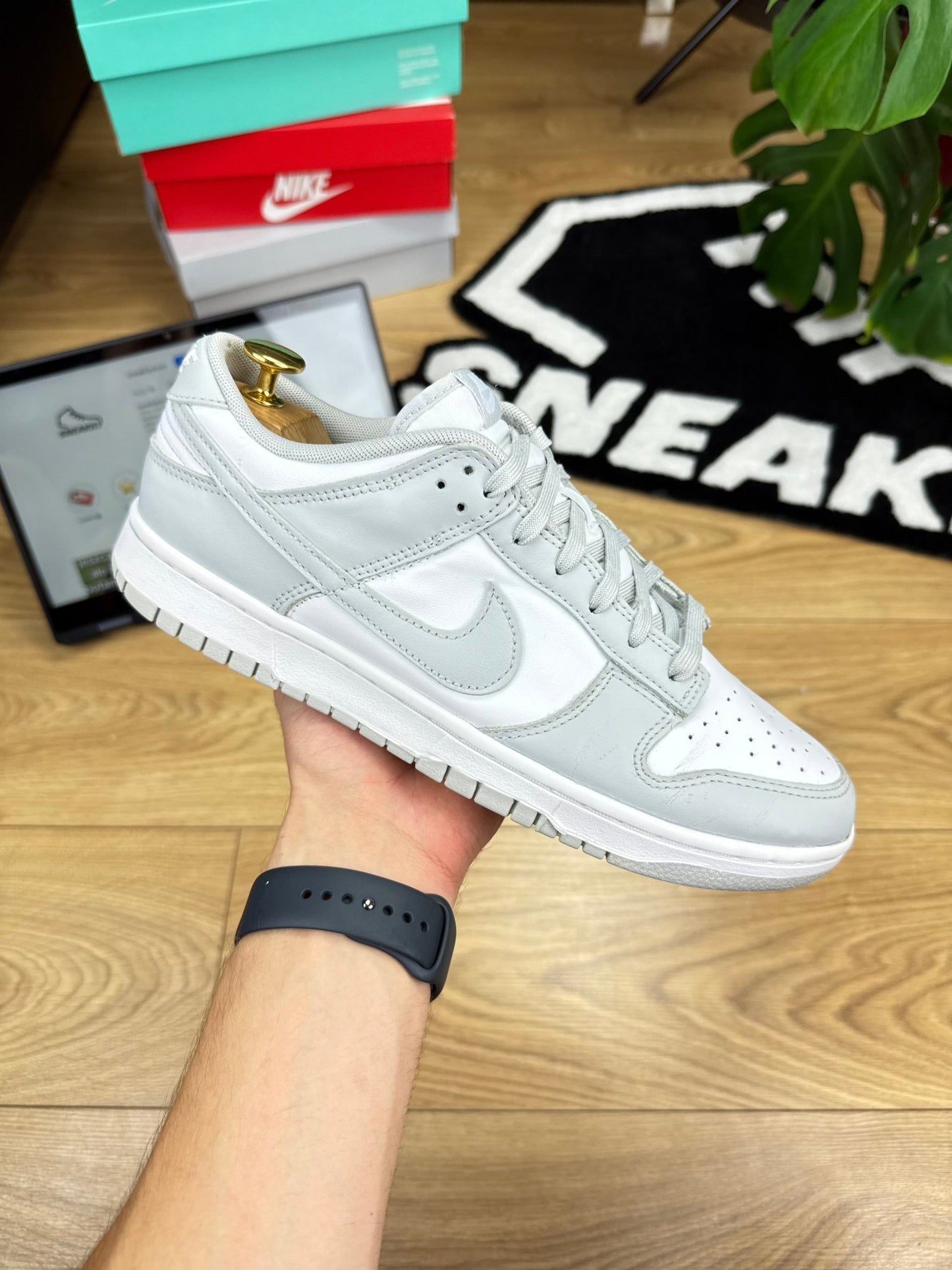 Nike Dunk Low (44)