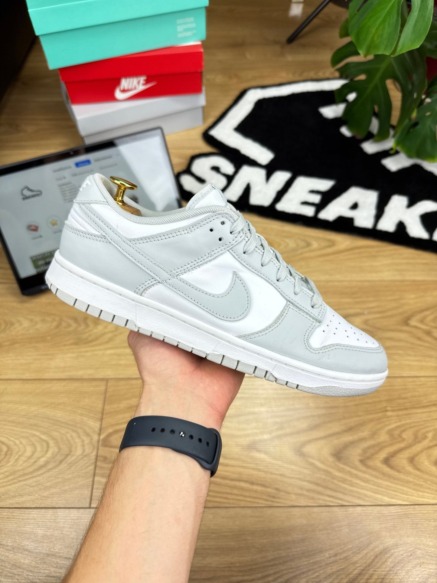 Nike Dunk Low (44)