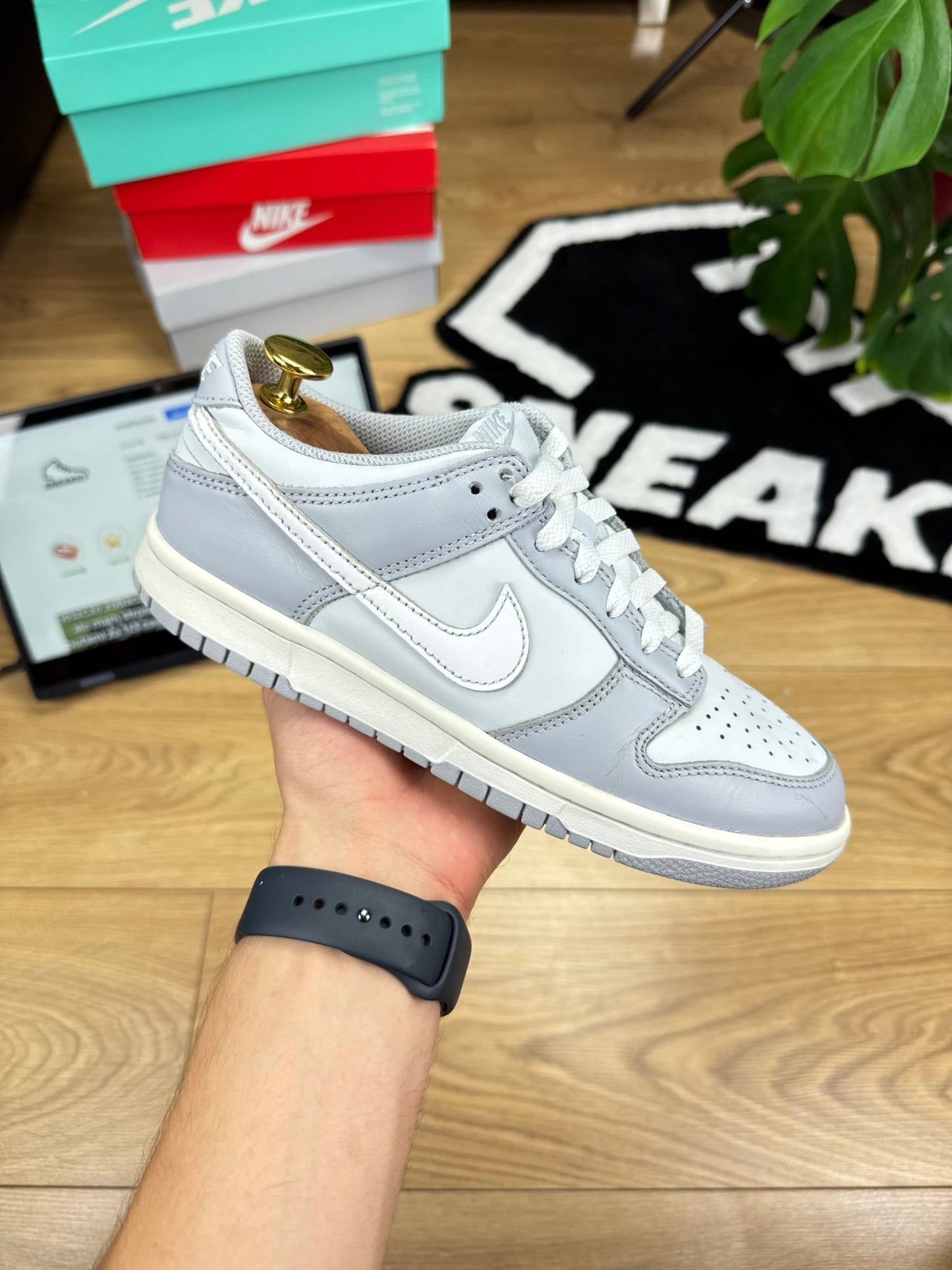 Nike Dunk Low (38)