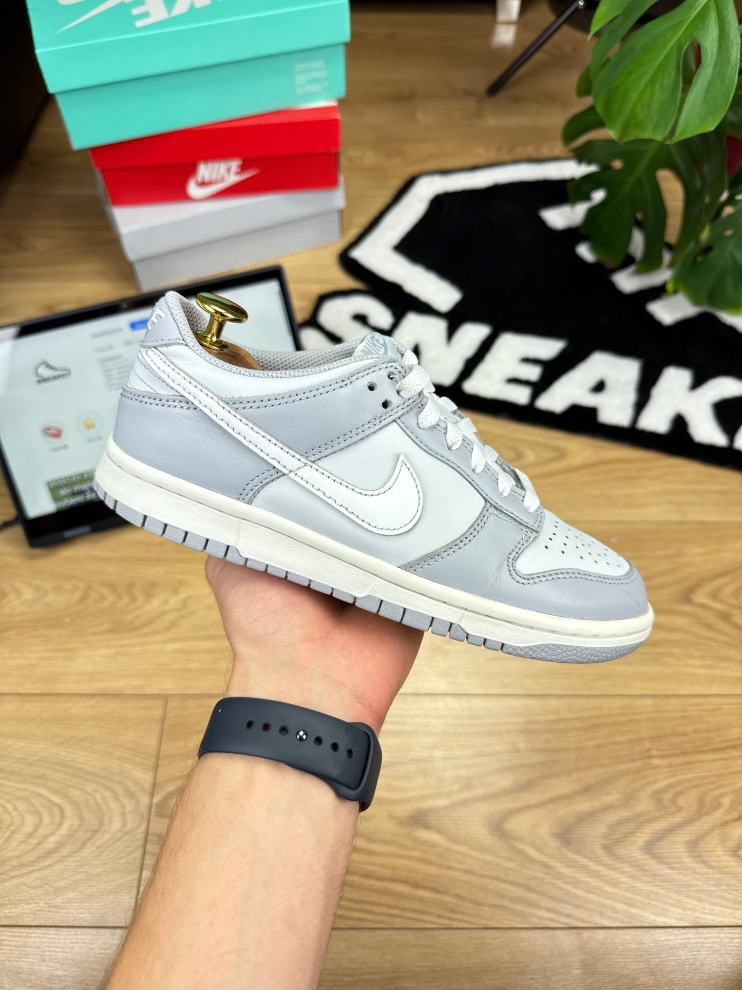 Nike Dunk Low (38)