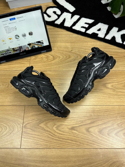 Nike Air Max Plus TN (43)