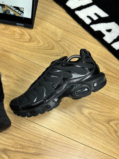 Nike Air Max Plus TN (43)