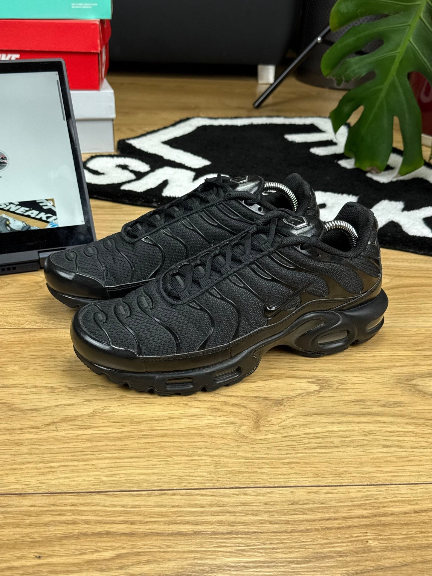 Nike Air Max Plus TN (43)