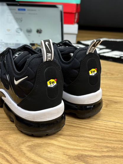 Nike Air Vapormax Plus (46)