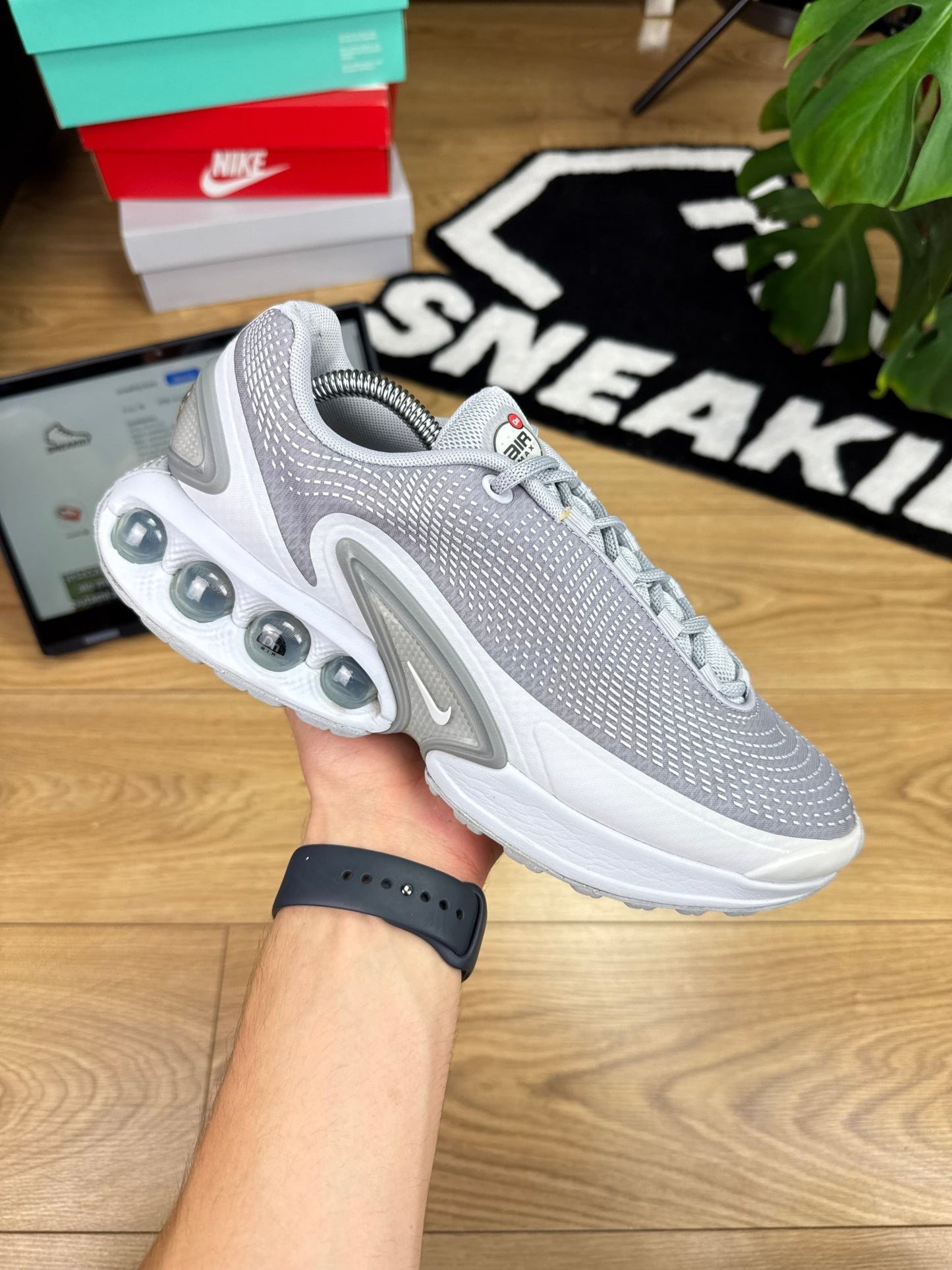 Nike Air Max DN (43)