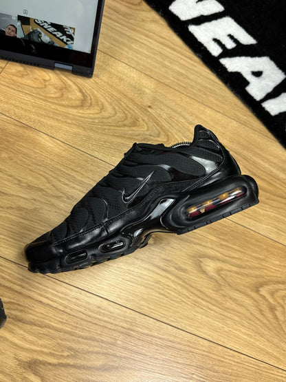 Nike Air Max Plus TN (44)