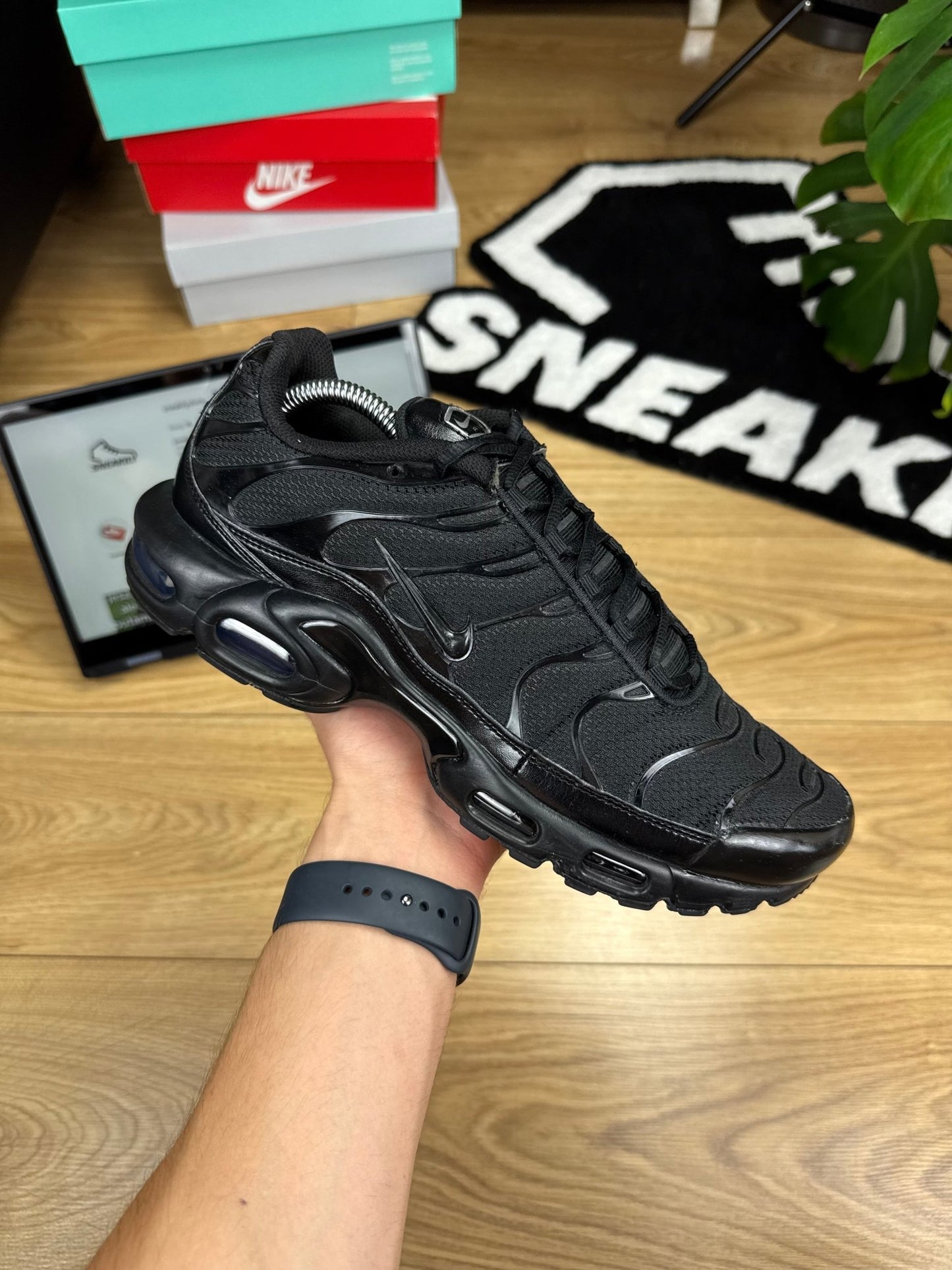 Nike Air Max Plus TN (44)