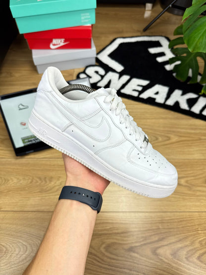 Nike Air Force 1 Low (43)