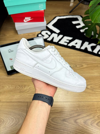 Nike Air Force 1 Low (43)