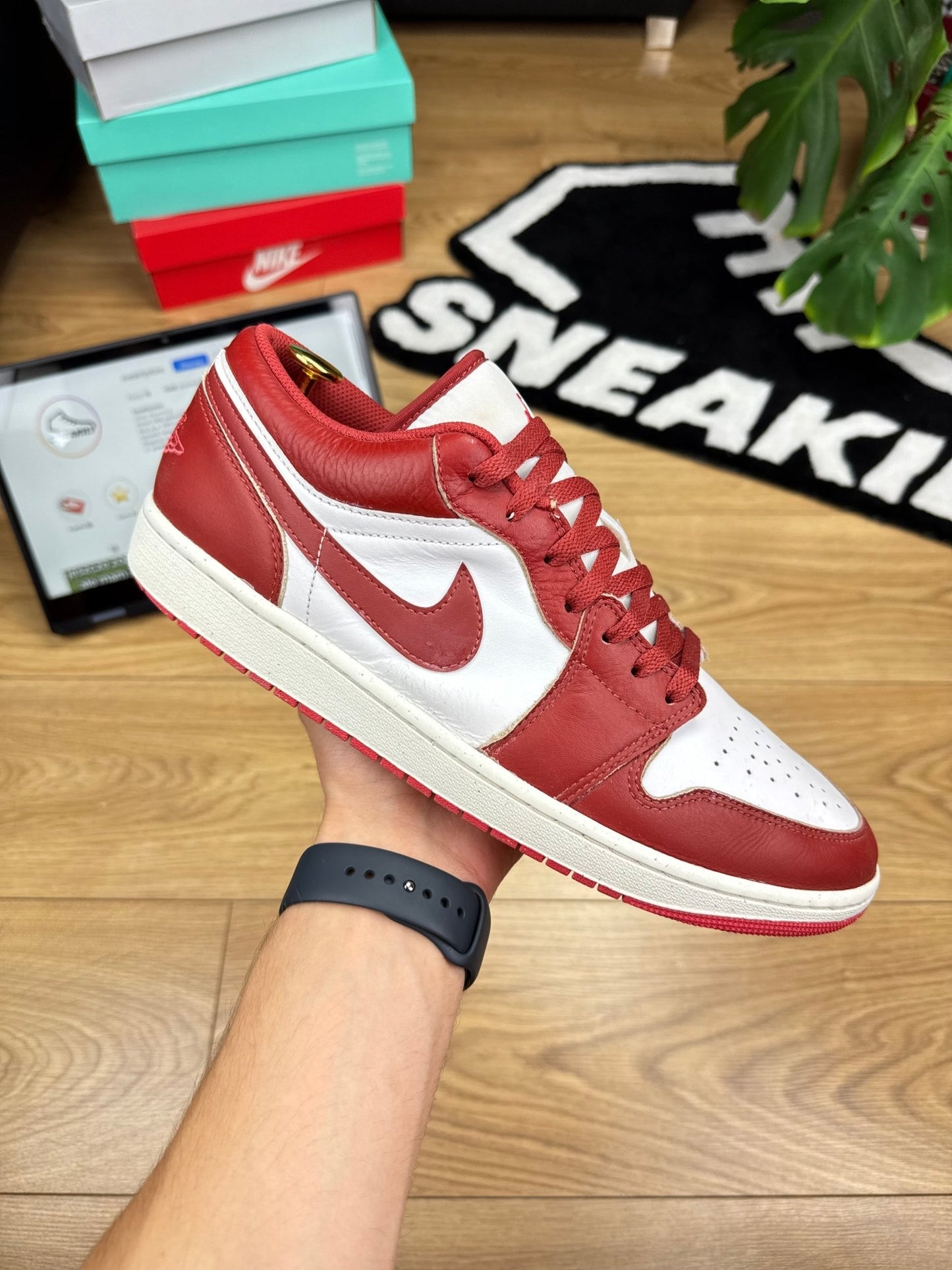 Nike Air Jordan 1 Low (46)