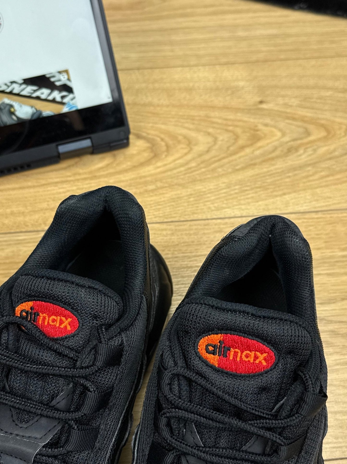 Nike Air Max 95 (43)