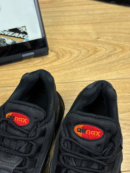 Nike Air Max 95 (43)
