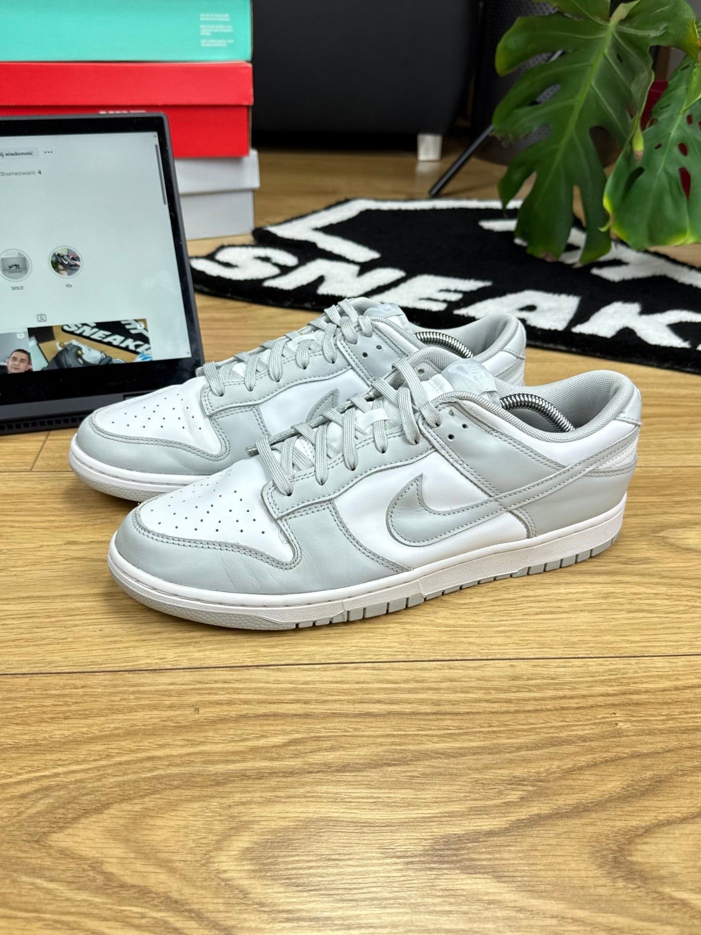 Nike Dunk Low (46)