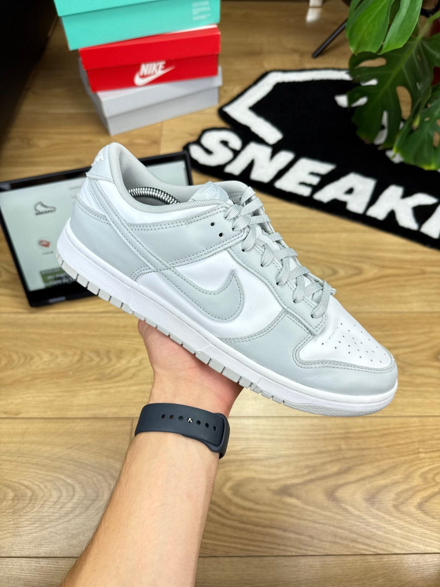 Nike Dunk Low (46)