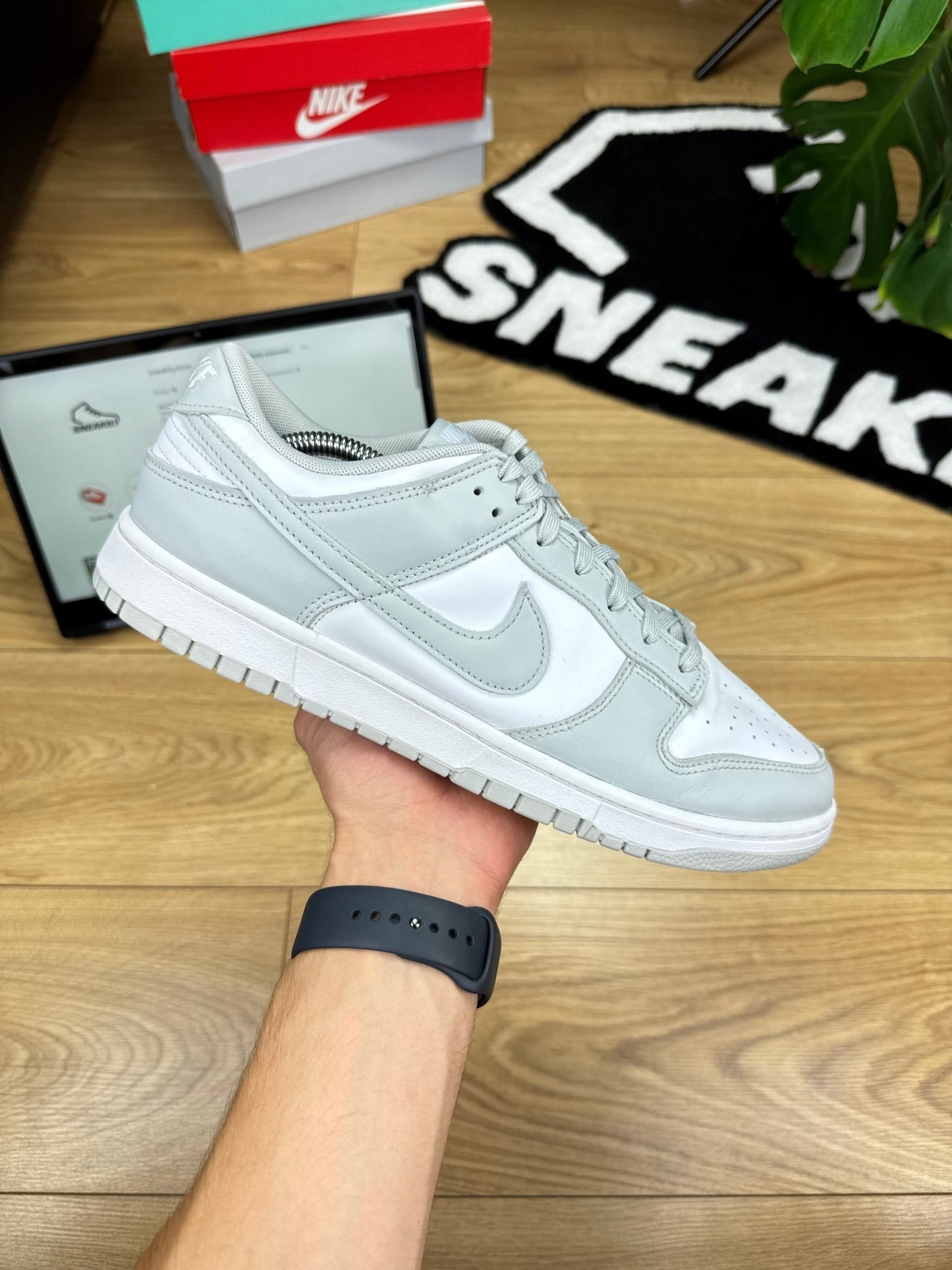 Nike Dunk Low (46)