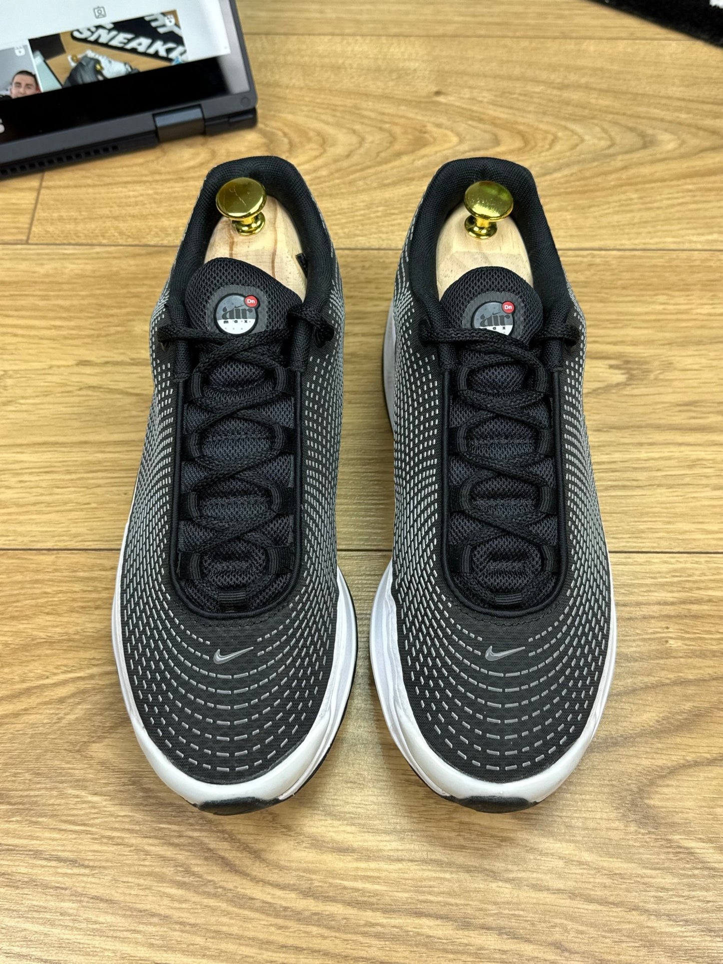 Nike Air Max DN (41)