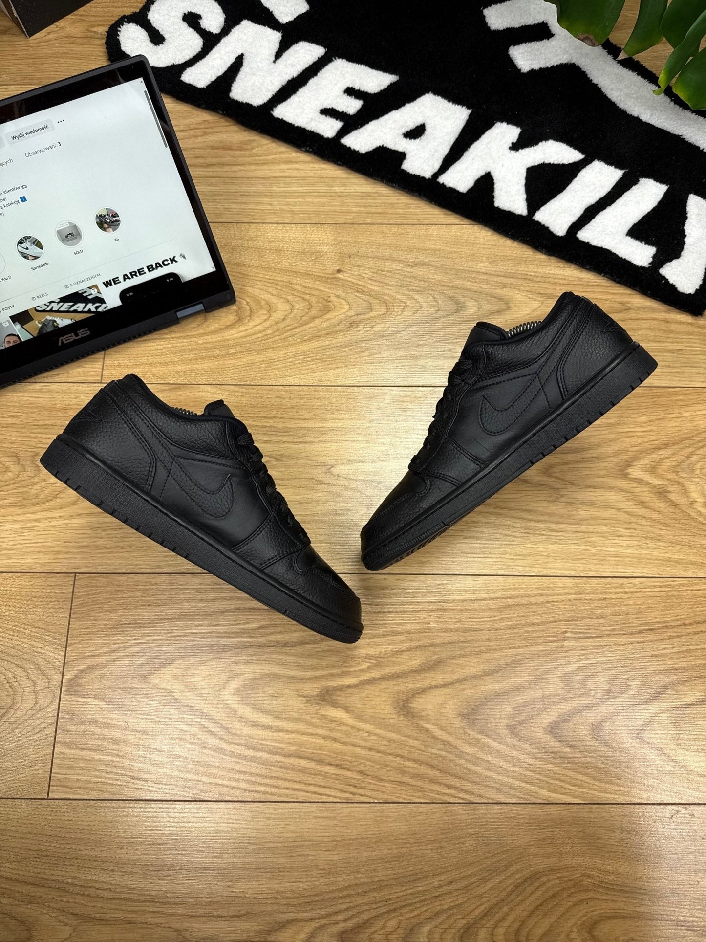 Nike Air Jordan 1 Low (43)