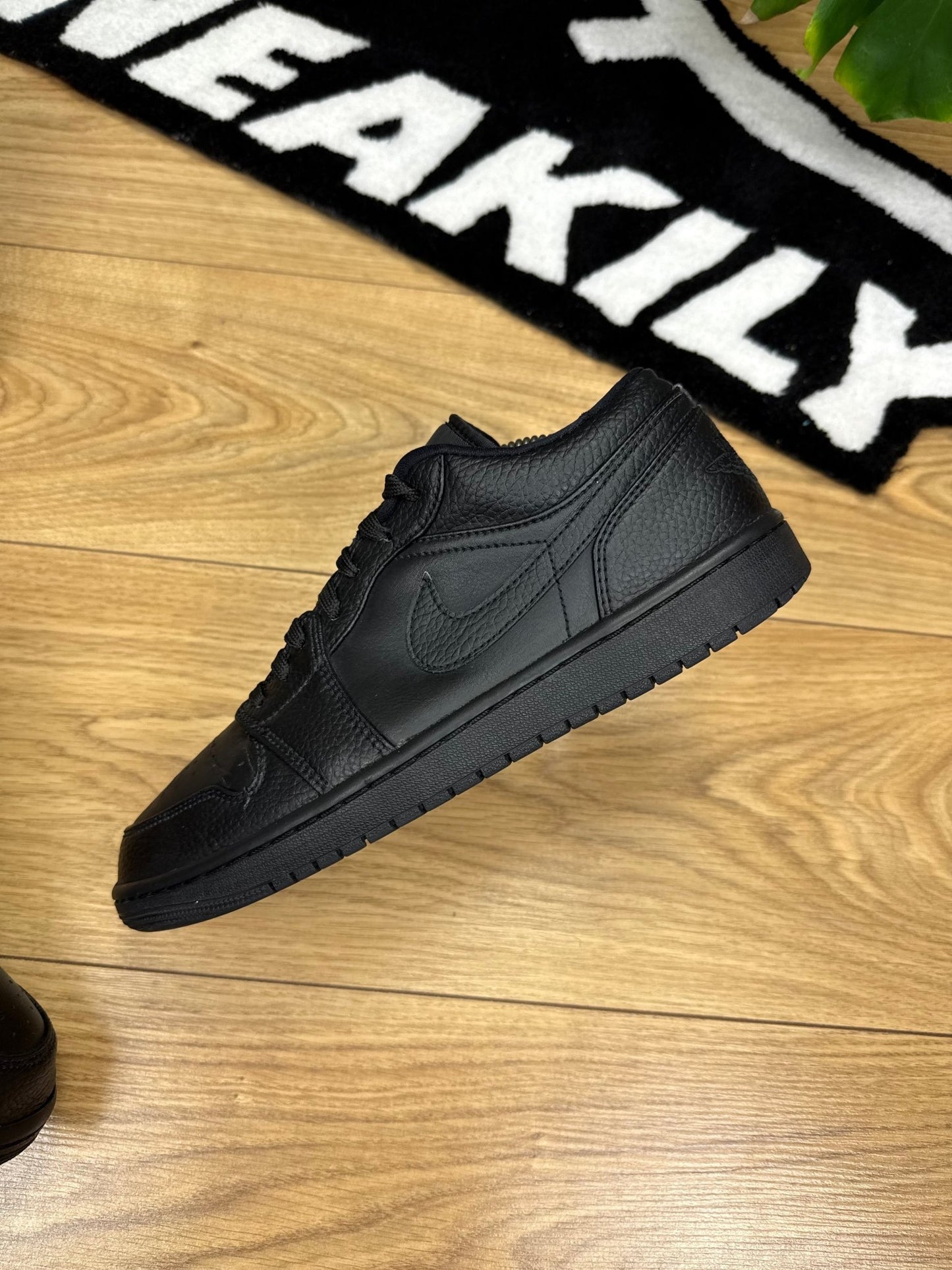 Nike Air Jordan 1 Low (43)