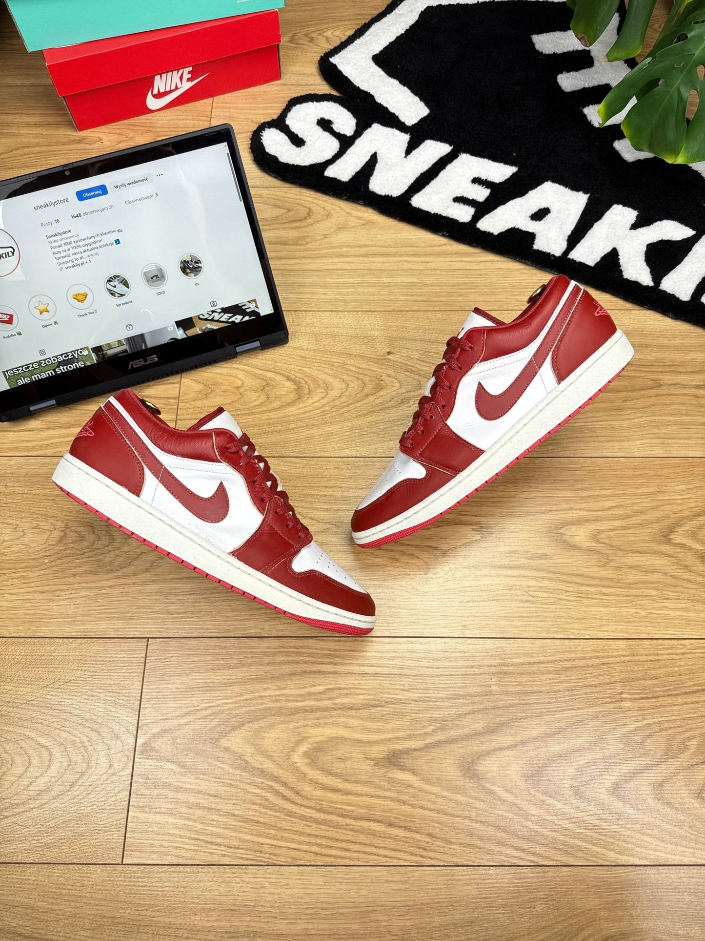 Nike Air Jordan 1 Low (46)