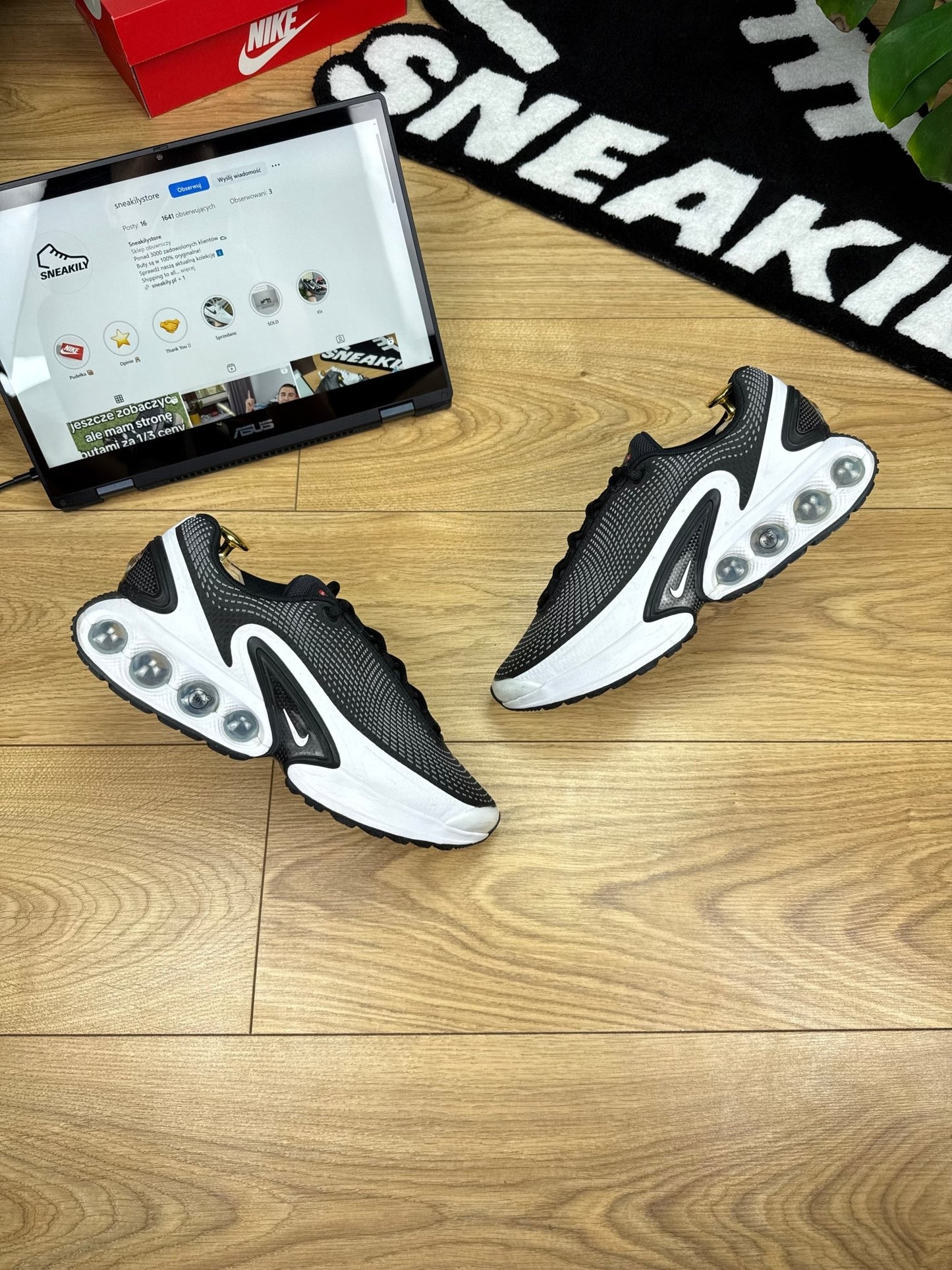 Nike Air Max DN (41)